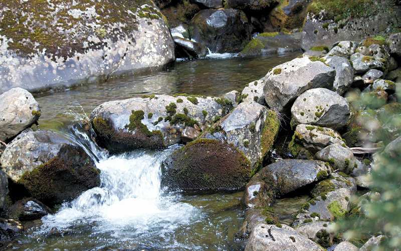 PC157762.JPG