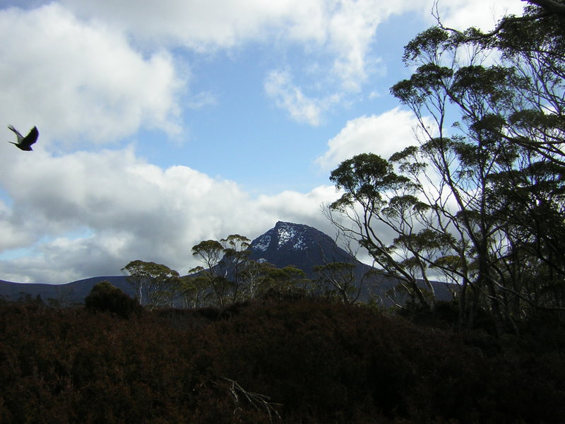 DSCN2306.JPG