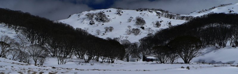 P1040399A.JPG