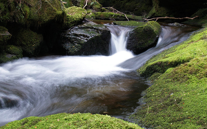 PC157842.JPG