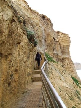 Steps.jpg
