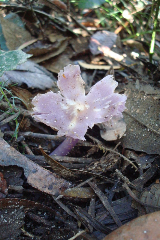 DSC02465.JPG